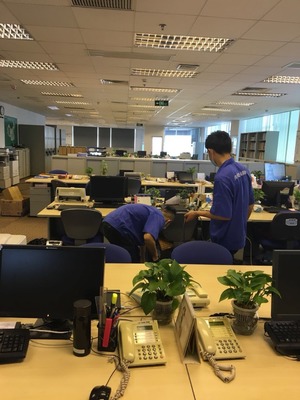 別墅滅鼠、滅蟑、滅蠅技術咨詢指南