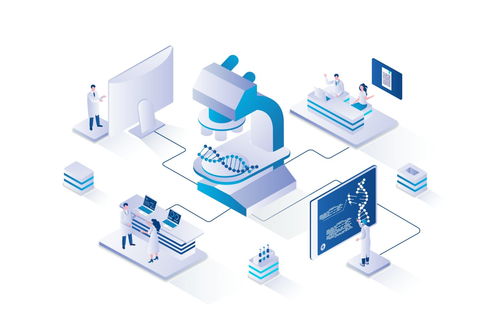 中國在關鍵技術領域的全球研發領先地位 機遇與挑戰并存